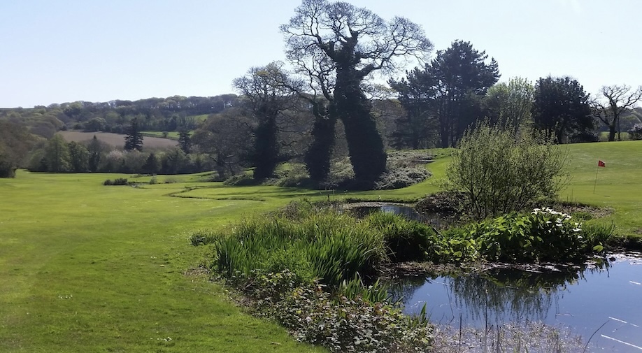 Photo of Killiow Park Golf Club